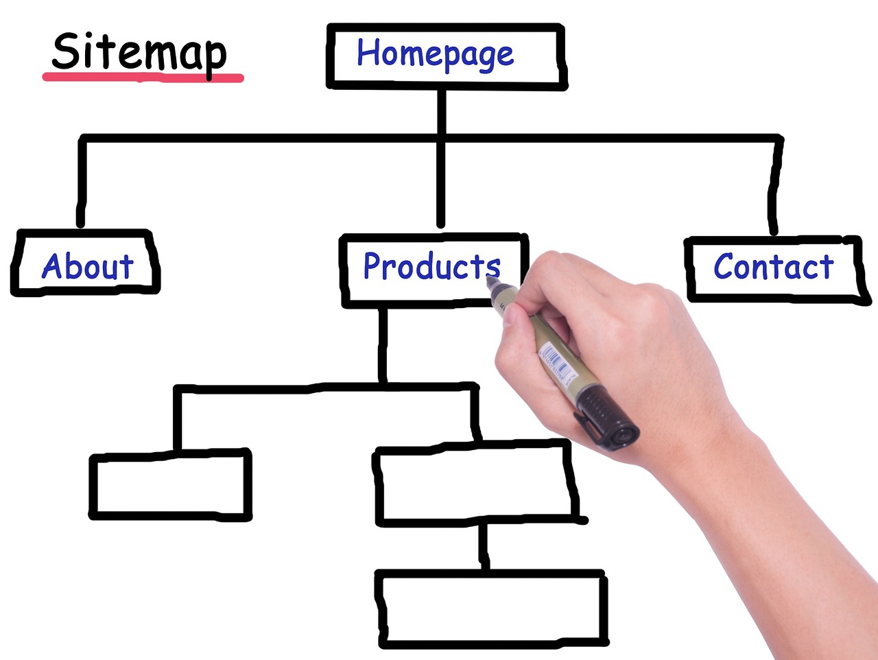 sitemap, pedigree, website hierarchy